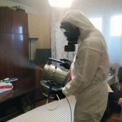 Дезинфекция от клопов в Дубовке