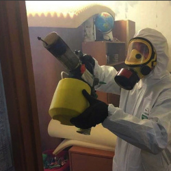 Уничтожение клопов в квартире. Дубовка